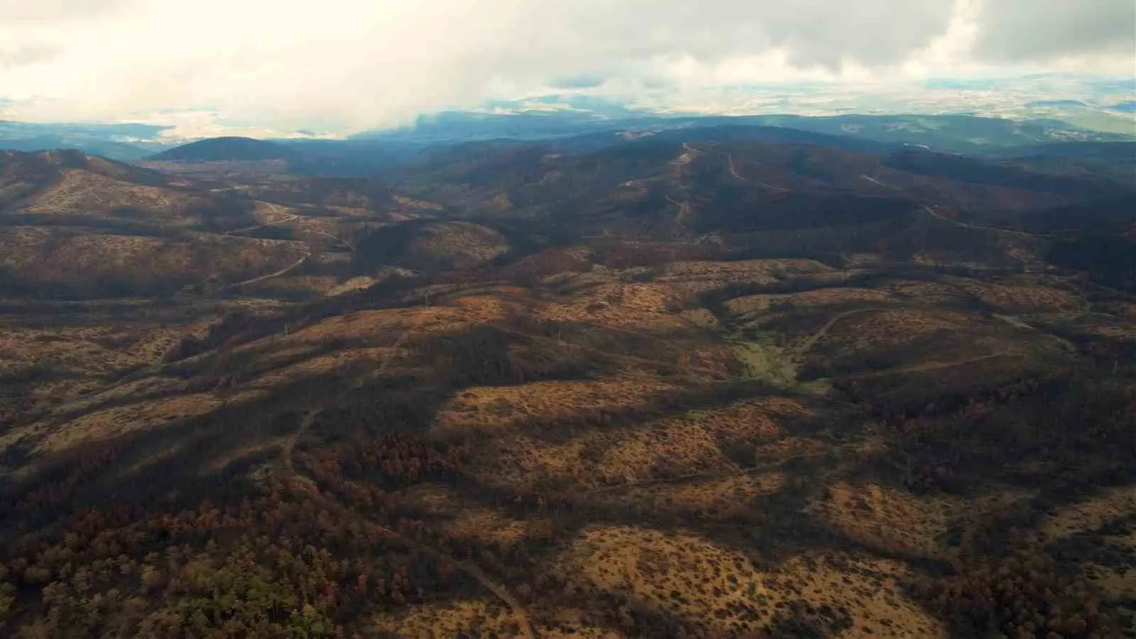 Bursa’da yaz ayında çıkan orman yangınlarında 953 hektarlık alan kül