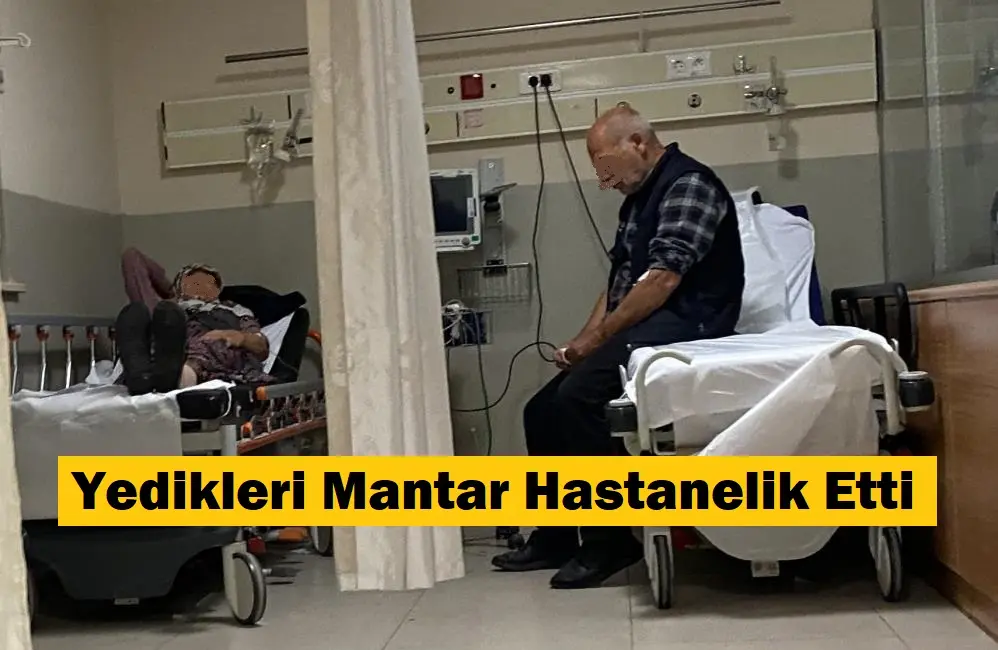 Bursa’dan İnegöl ilçesinde ormandan topladıkları mantarları yemek yapıp yiyen 7