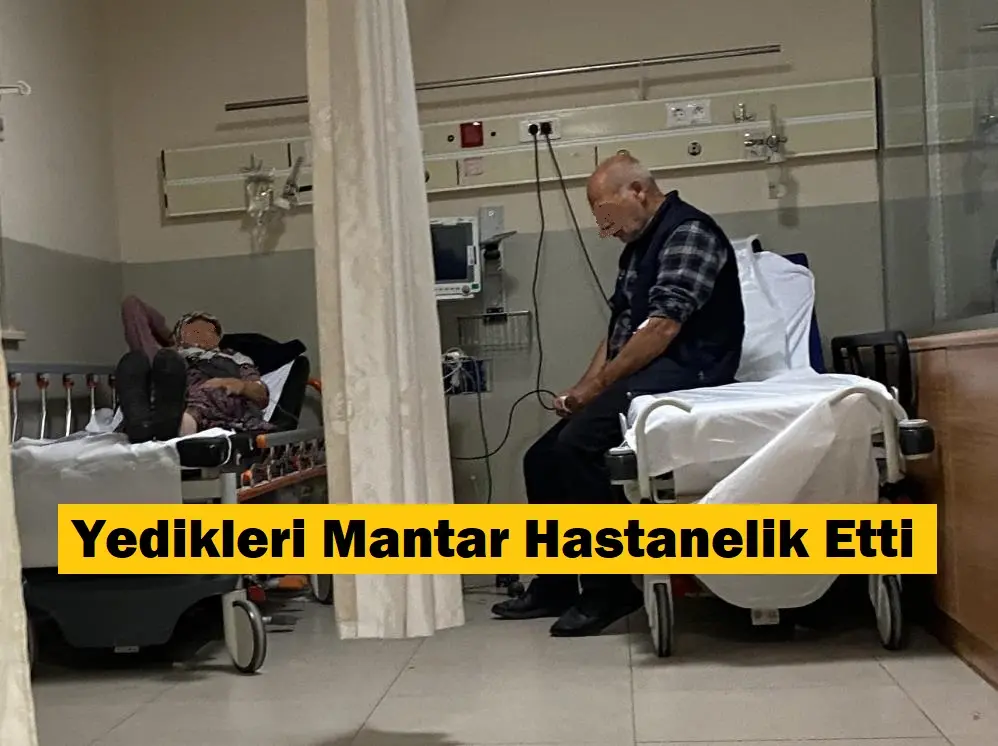 Bursa’dan İnegöl ilçesinde ormandan topladıkları mantarları yemek yapıp yiyen 7