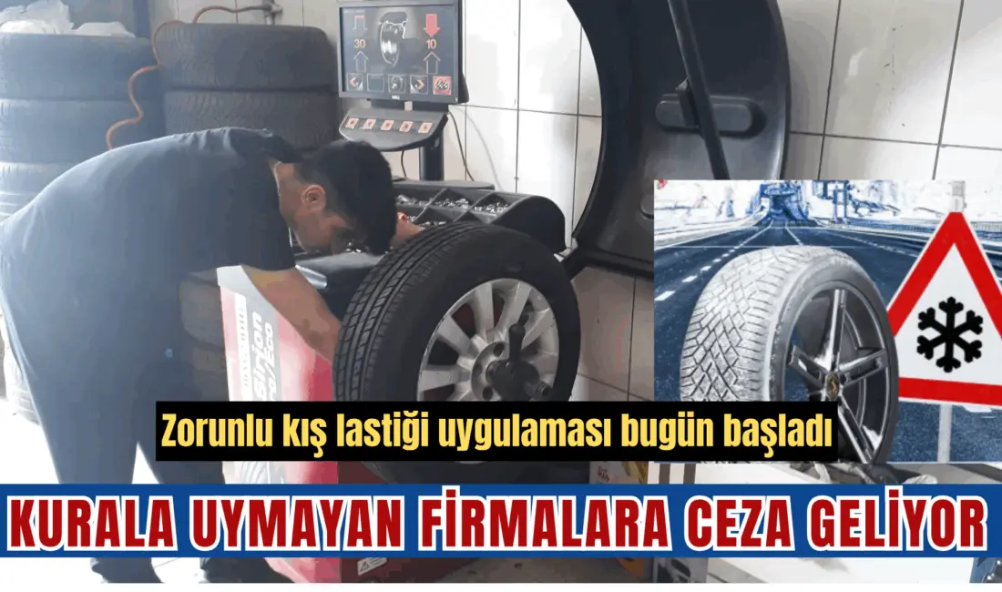 Şehirlerarası kara yollarında yolcu ve eşya taşımacılığı yapan ticari araçlar