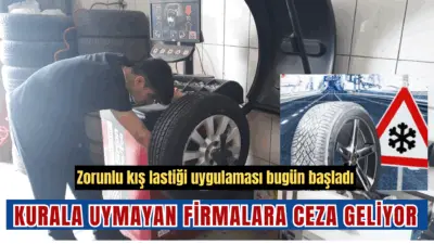 Şehirlerarası kara yollarında yolcu ve eşya taşımacılığı yapan ticari araçlar