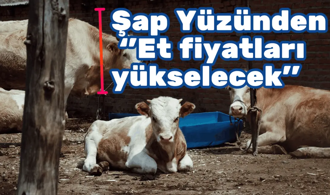 Tüm Süt, Et ve Damızlık Sığır Yetiştiricileri Derneği (TÜSEDAD) Başkanı