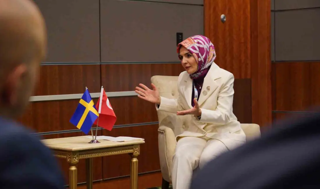 Aile ve Sosyal Hizmetler Bakanı Mahinur Özdemir Göktaş, 2. Dünya