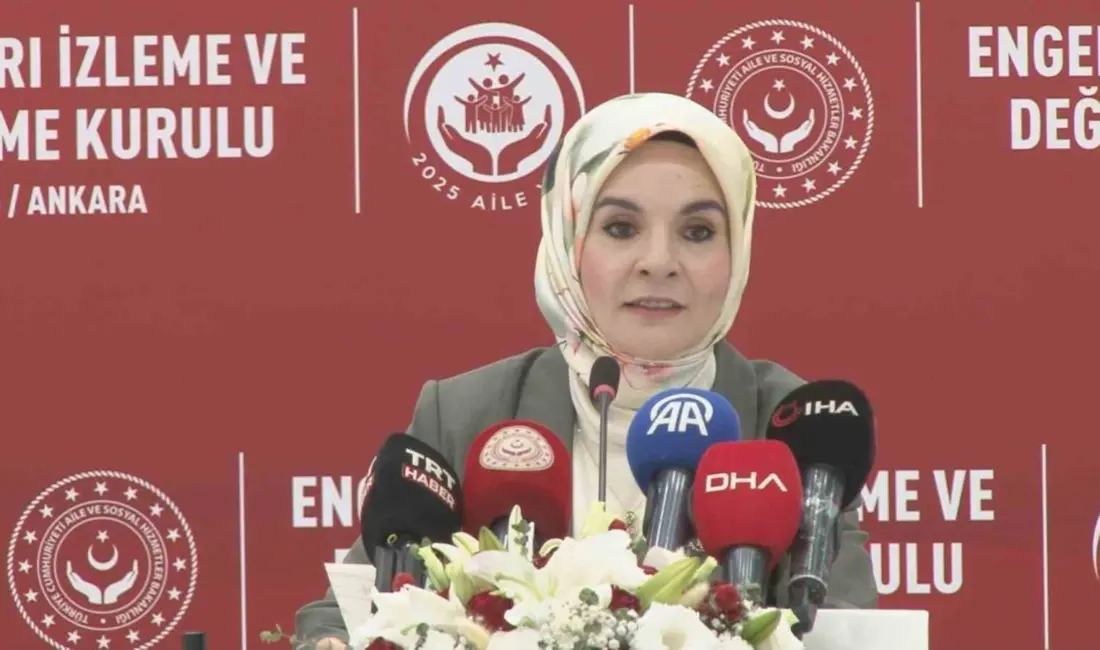 Aile ve Sosyal Hizmetler Bakanı Mahinur Özdemir Göktaş, Engelli Hakları