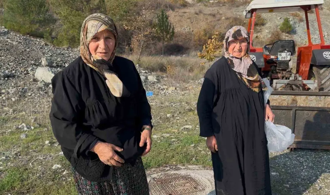 Bursa’da 70 yaşlarında iki kadın, sabah erken saatlerde çıktıkları ormanlık