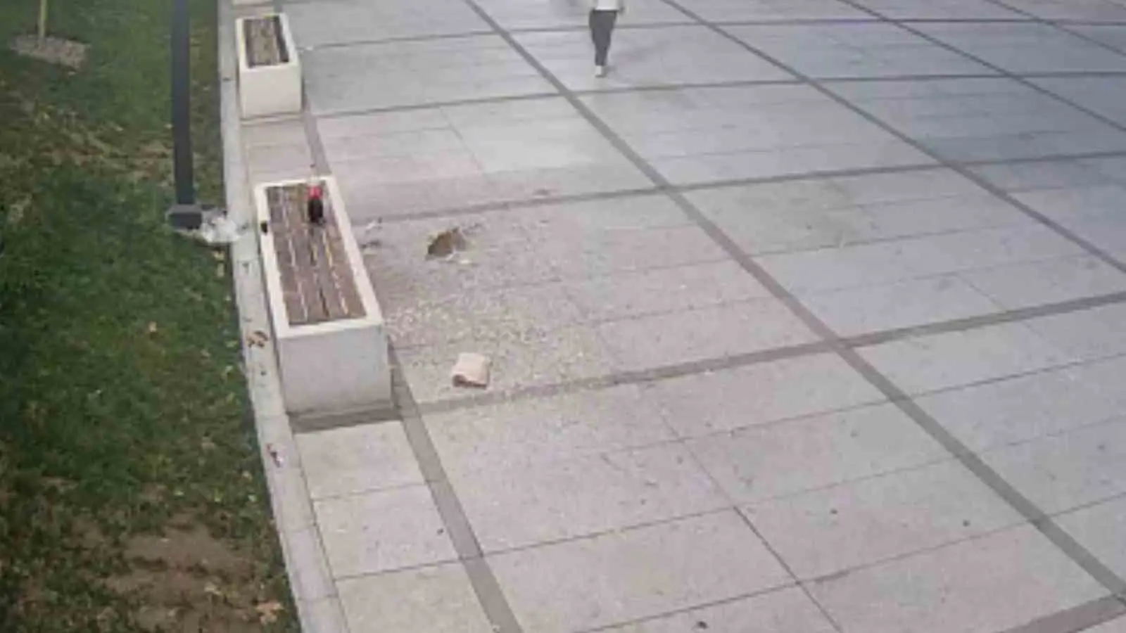 İnegöl Belediyesi, kamusal alanda çekirdek yiyerek çöplerini yere atan kişileri