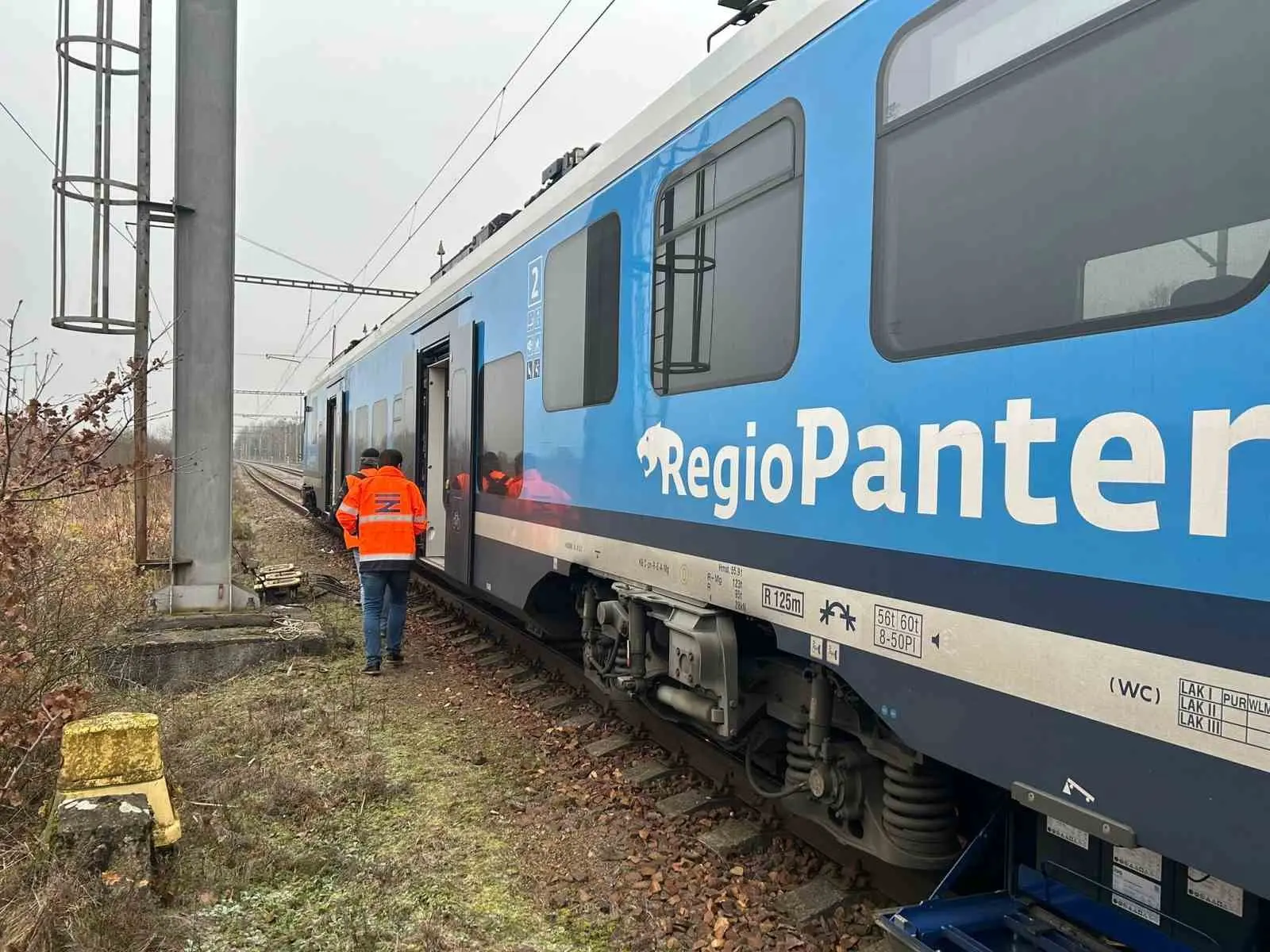 Çekya’nın başkenti Prag’ın yaklaşık 132 km güneyinde iki yolcu treninin