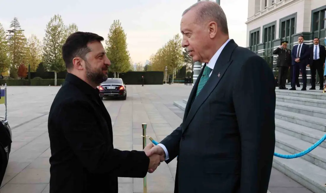Cumhurbaşkanı Recep Tayyip Erdoğan, Ukrayna Devlet Başkanı Vladimir Zelenskiy ile
