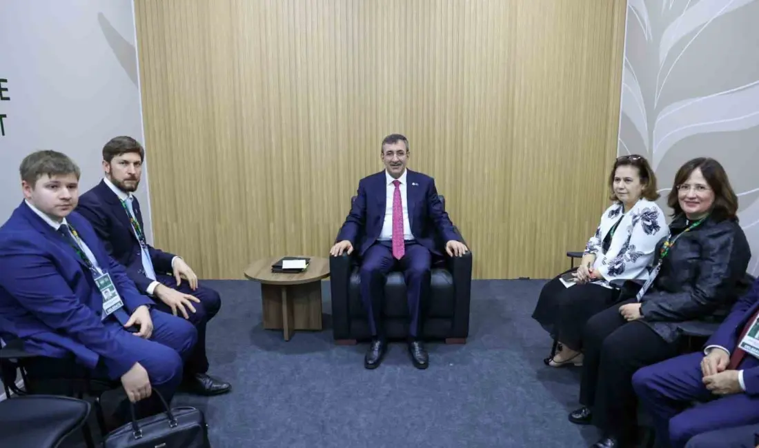 Cumhurbaşkanı Yardımcısı Cevdet Yılmaz, Birleşmiş Milletler (BM) İklim Değişikliği Çerçeve