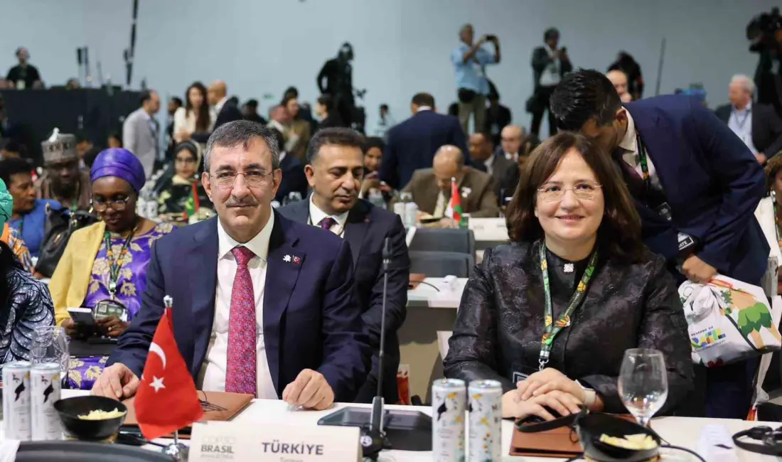 Cumhurbaşkanı Yardımcısı Cevdet Yılmaz, “Türkiye, iklim değişikliğiyle mücadelede güney ve