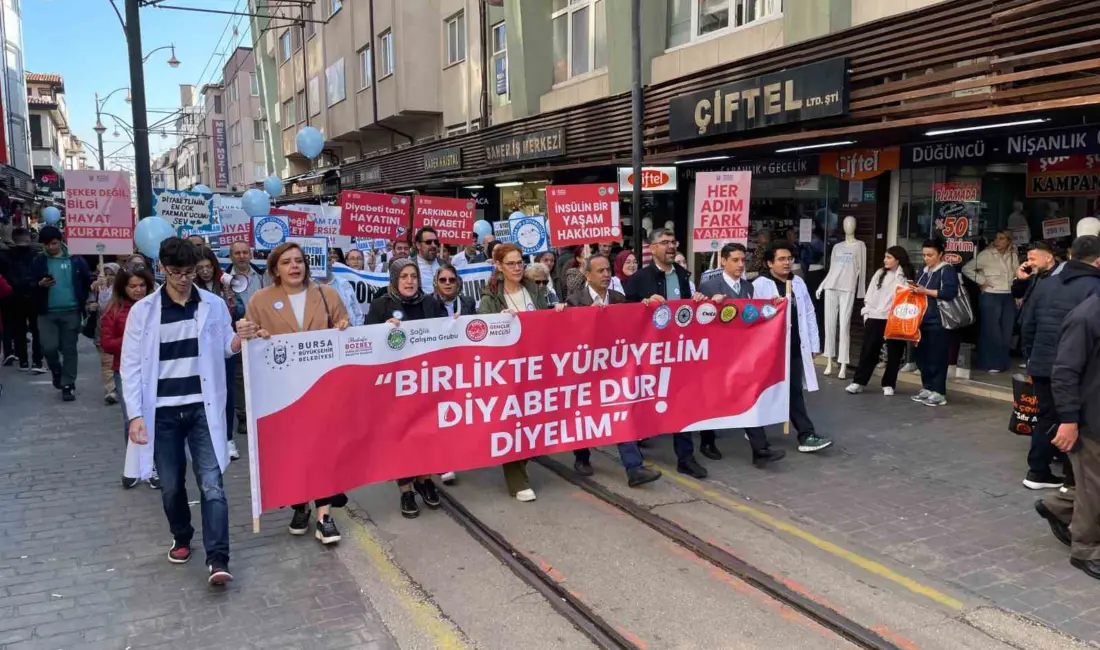Bursa Büyükşehir Belediyesi, Bursa Kent Konseyi ve Bursa Tip 1