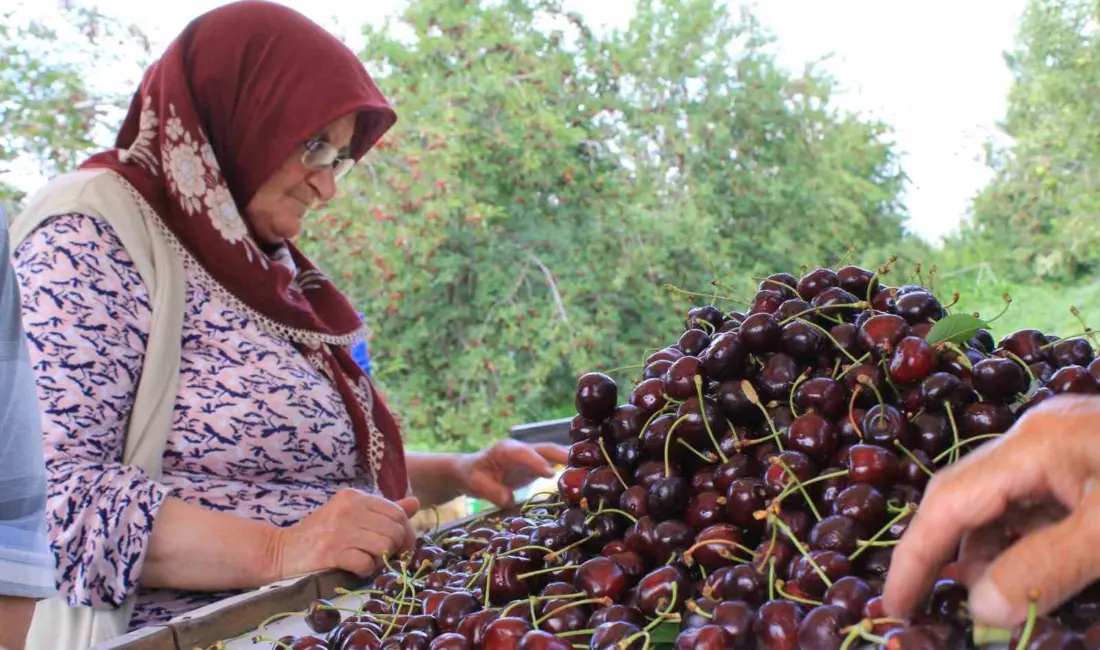 Dondurulmuş gıdada büyük bir potansiyele sahip Türkiye, yurt dışında birçok