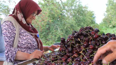 Dondurulmuş gıdada büyük bir potansiyele sahip Türkiye, yurt dışında birçok