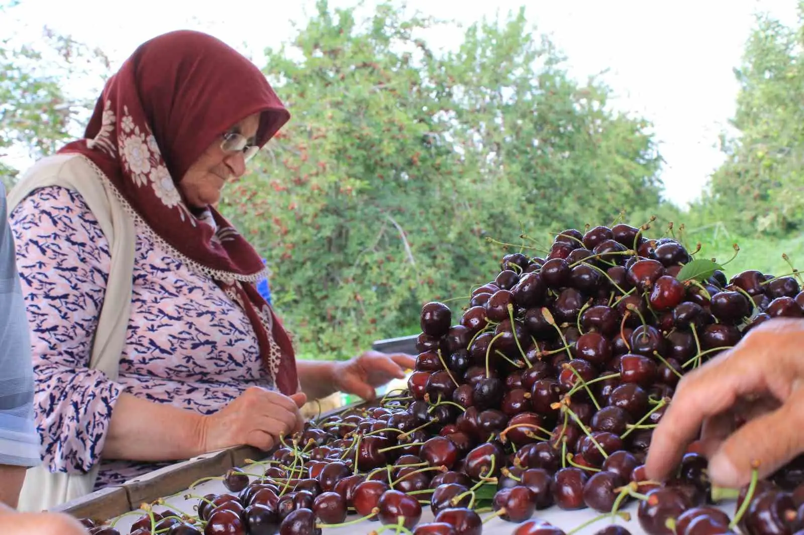 Dondurulmuş gıdada büyük bir potansiyele sahip Türkiye, yurt dışında birçok