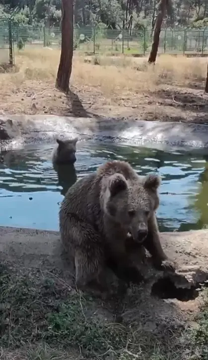 Bursa Ovakorusu Celal Acar Yaban Hayvanı Kurtarma ve Rehabilitasyon Merkezi’nin