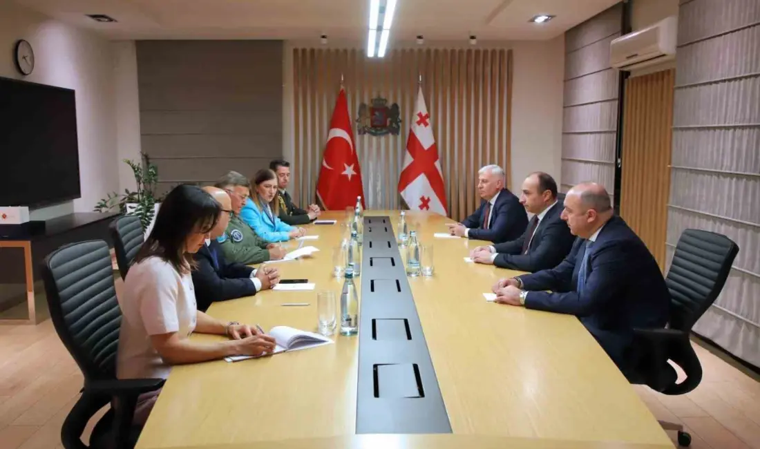 Gürcistan İçişleri Bakanı Gela Geladze, Türk Hava Kuvvetleri Komutanlığı Değerlendirme