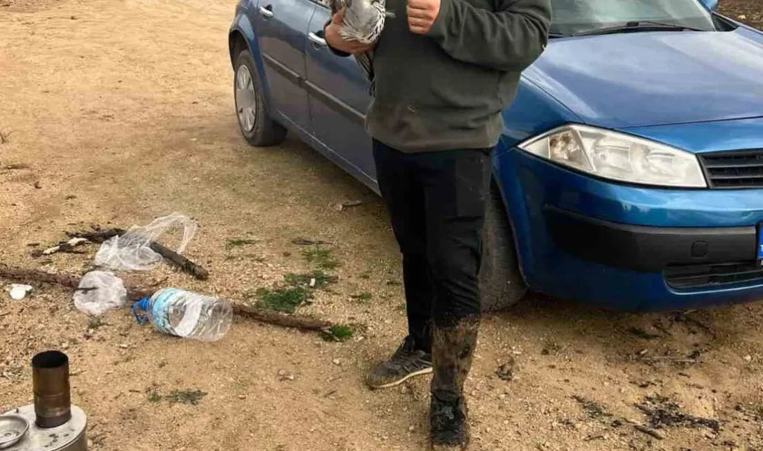 Bursa’nın İnegöl ilçesinde doğa gezisine çıkan 2 genç, ağaçta misinaya