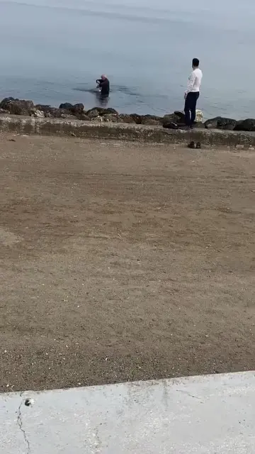 Bursa’nın Mudanya ilçesi Güzelyalı sahilinde oltaların misina ve kancalarına takılarak