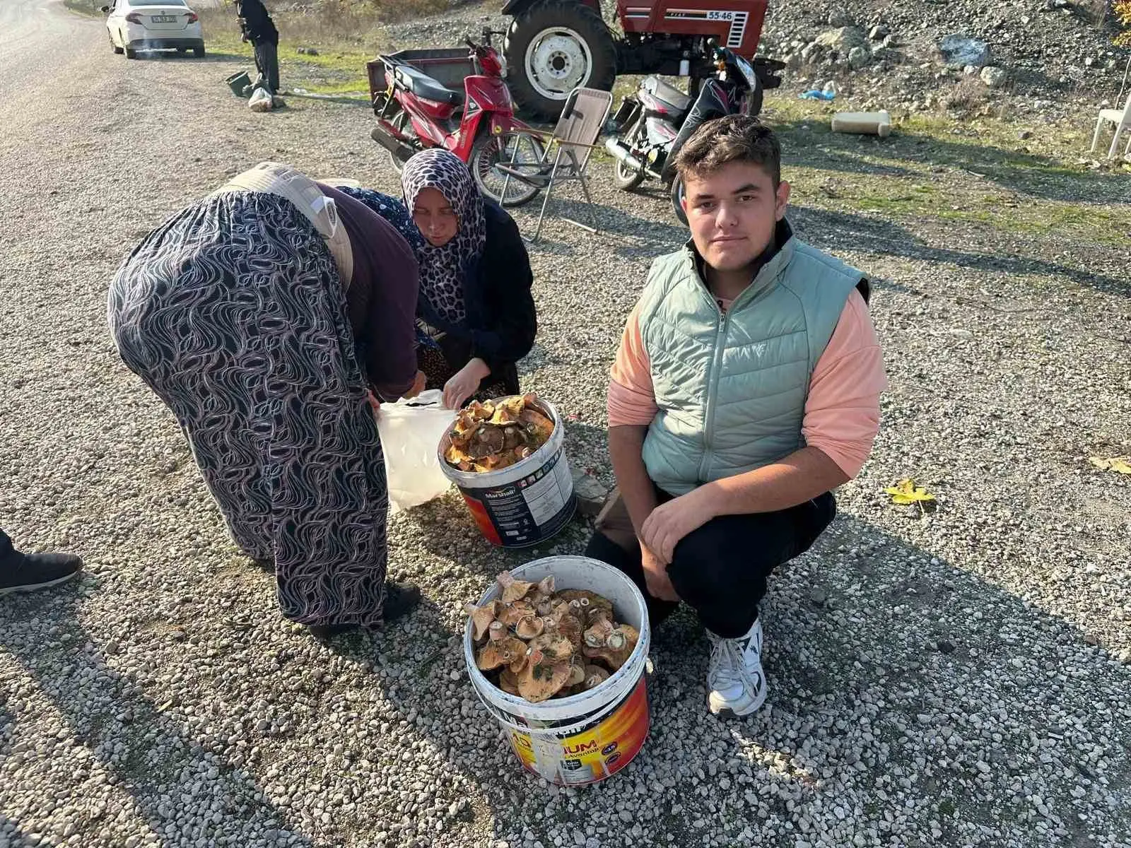 Bursa’nın Büyükorhan ilçesinde son yağışlarla kendini gösteren melki ya da