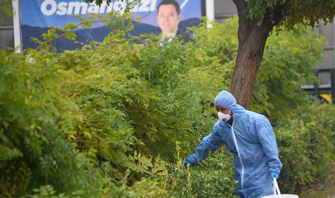 Osmangazi Belediyesi, halk sağlığını tehdit eden kemirgenlerle mücadele kapsamında ilçe