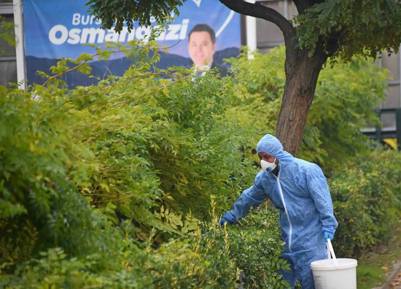 Osmangazi Belediyesi, halk sağlığını tehdit eden kemirgenlerle mücadele kapsamında ilçe