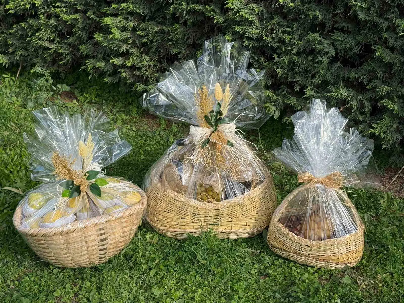 BURSA (İHA) – Papa 14. Leo’ya İznik ziyareti sırasında Bursa’nın