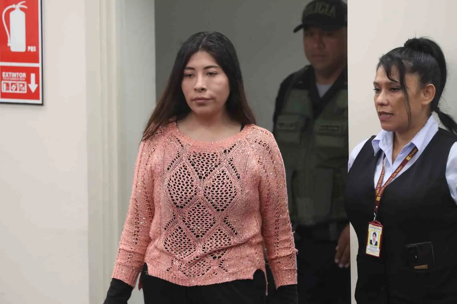 Peru Dışişleri Bakanı Hugo de Zela, darbe teşebbüsüyle suçlanan eski