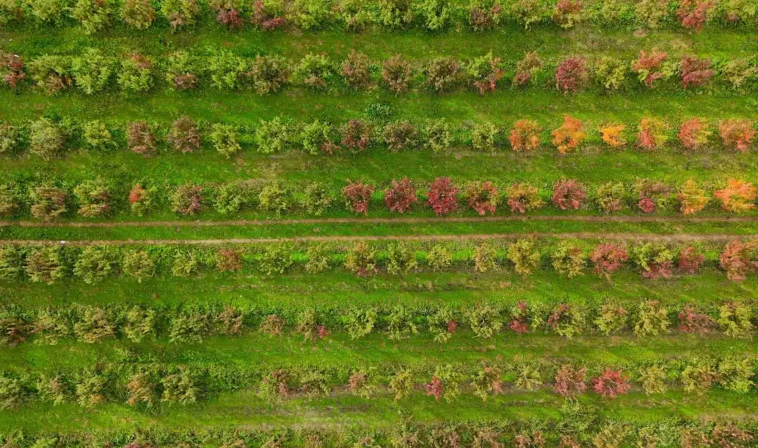 Uludağ’ın eteklerinde sonbaharın gelişiyle birlikte doğa mest edici bir tabloya