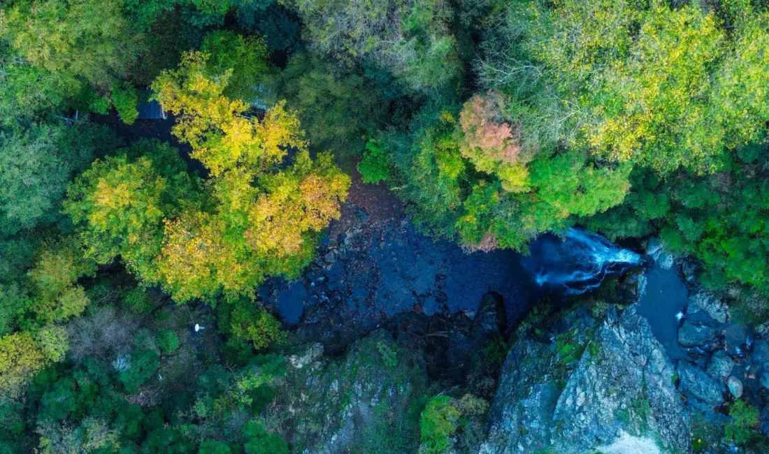 Gemlik’e bağlı Haydariye köyünde yer alan Sudüşen Şelalesi, kasım ayının