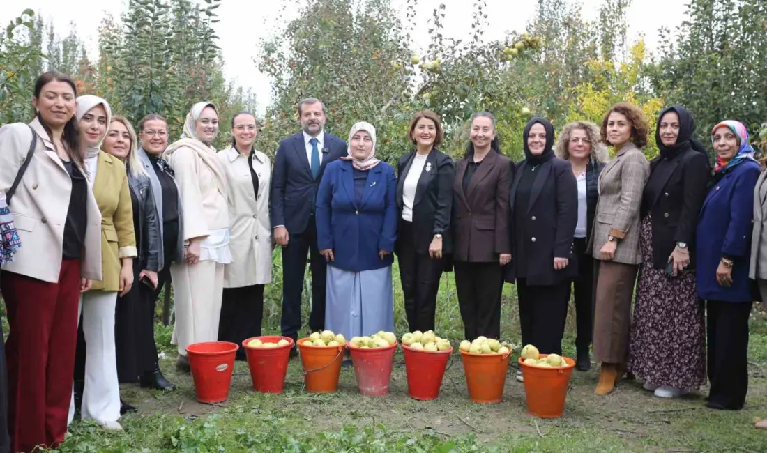 Topuklu ayakkabılı iş kadınlarıyla şalvarlı köylü kadınları aynı tarlada aynı