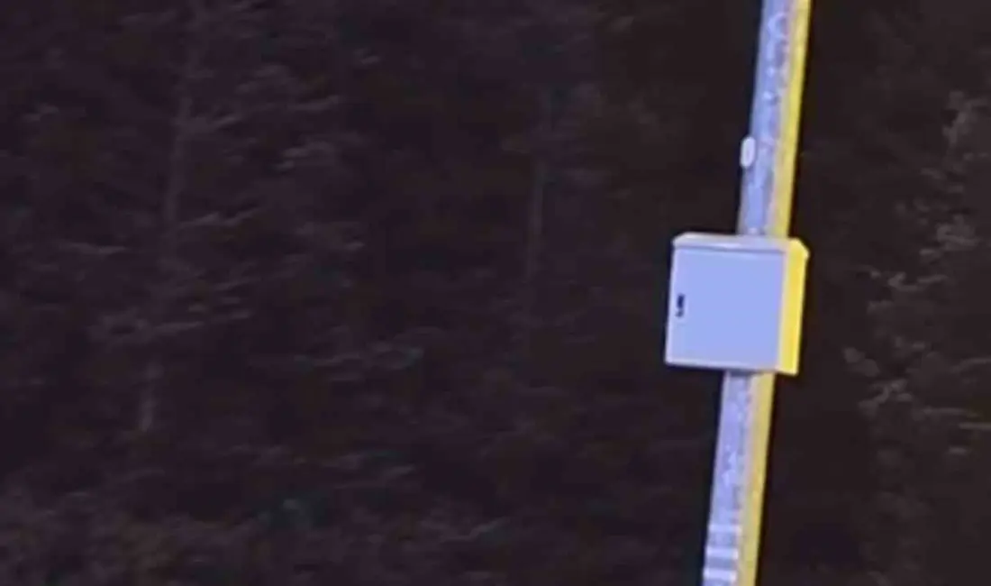 Bursa’nın Uludağ bölgesinde kış uykusuna yatmayan ayılar, çöp konteynerlerini devirerek