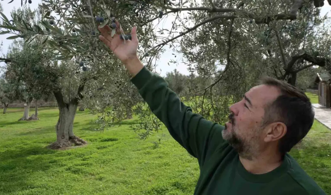 Çanakkale’nin Bozcada ilçesinde yaşayan ünlü komediyen Ata Demirer, “Beni buraya