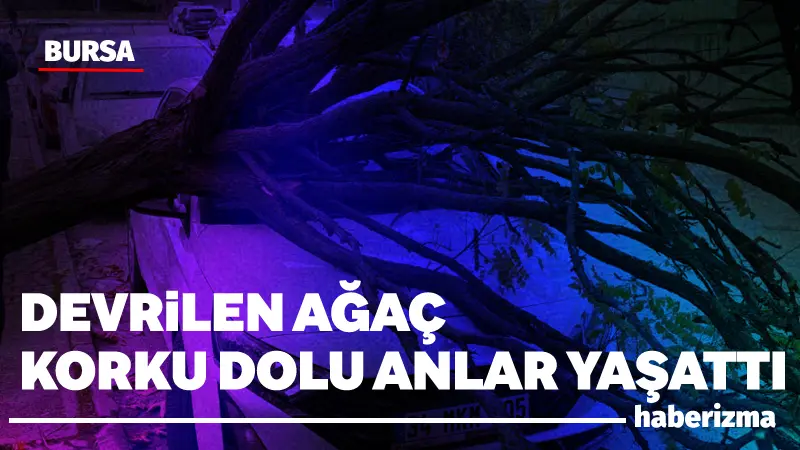 Bursa’da araçların üzerine devrilen ağaç korku dolu anlar yaşatırken, sadece