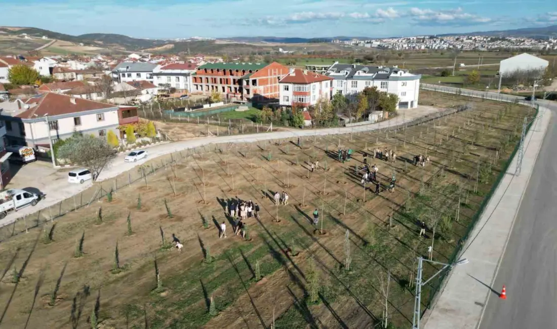 İnegöl Belediyesi Akhisar Mahallesi Akkanal Sokak’ta 2 parçadan oluşan toplam
