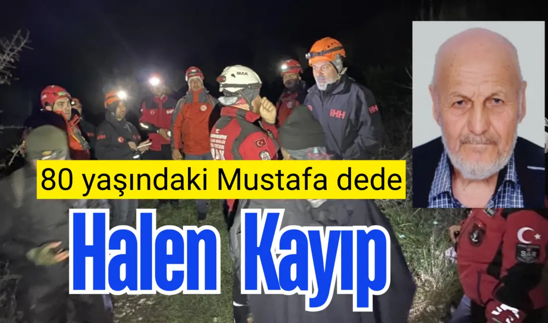 Bursa’nın Mudanya ilçesine bağlı Evciler Mahallesi’nde 10 gün önce ot