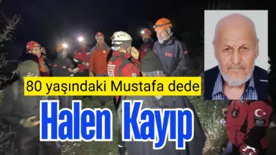 Bursa’nın Mudanya ilçesine bağlı Evciler Mahallesi’nde 10 gün önce ot