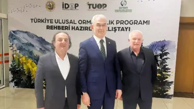 Ahşap ambalaj ve palet sektörü, TUOP final çalıştayında ilk kez