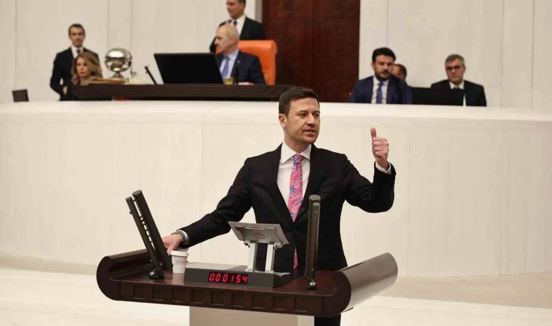 AK Parti Ankara Milletvekili ve Genel Başkan Vekili Yardımcısı Ahmet