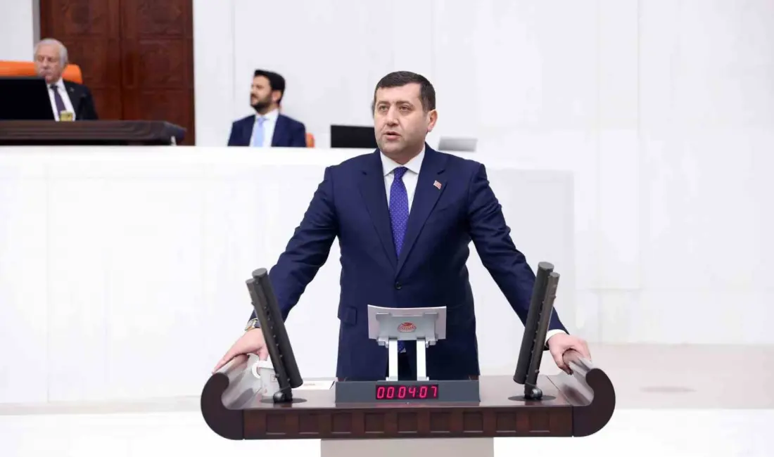 Milliyetçi Hareket Partisi (MHP) Kayseri Milletvekili Baki Ersoy, Enerji ve