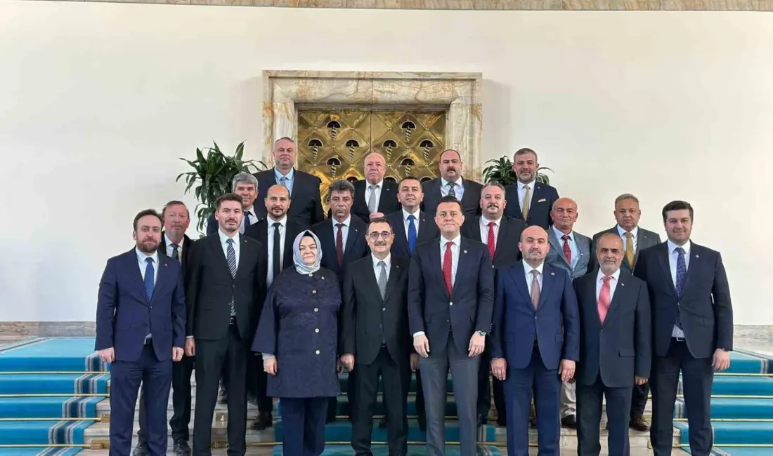 İnönü Belediye Başkanı Serhat Hamamcı, başta Cumhurbaşkanı Recep Tayyip Erdoğan