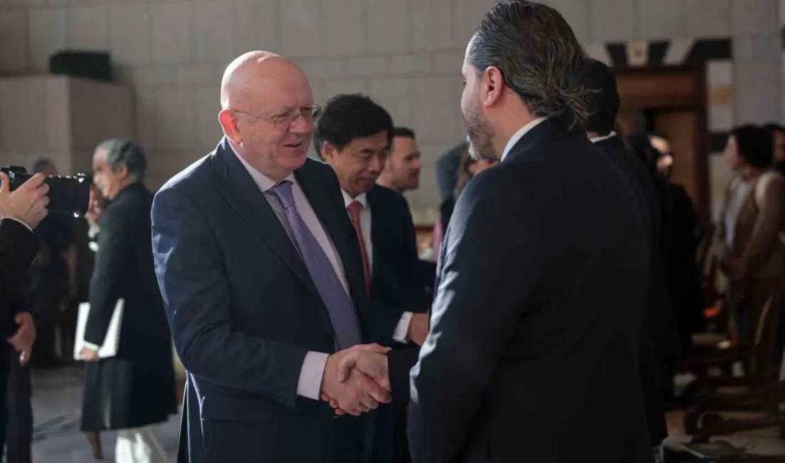 Birleşmiş Milletler Güvenlik Konseyi’ne (BMGK) üye 15 ülkenin temsilcisi, Beşar