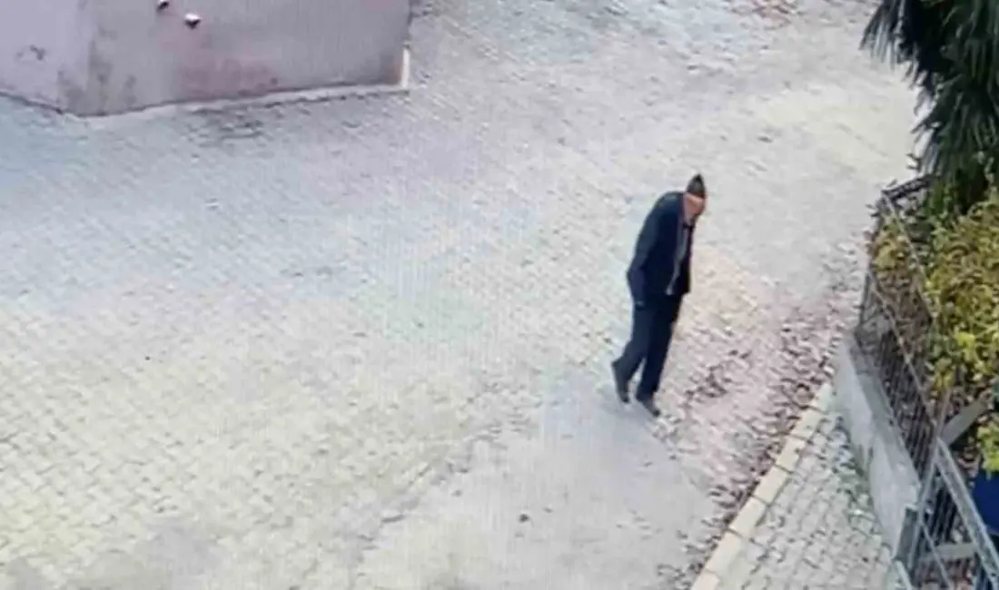 Bursa’nın Mudanya ilçesine bağlı Evciler Mahallesi’nde 10 gün önce ot