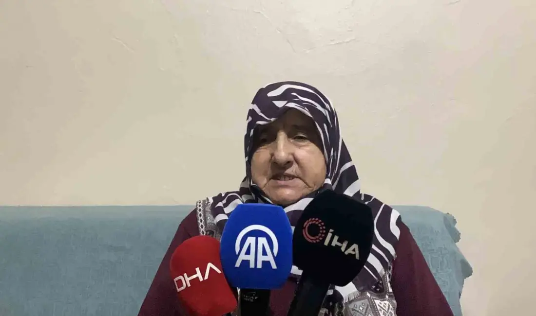 Bursa’nın Mudanya ilçesine bağlı Evciler Mahallesi’nde Cuma günü ot toplamak