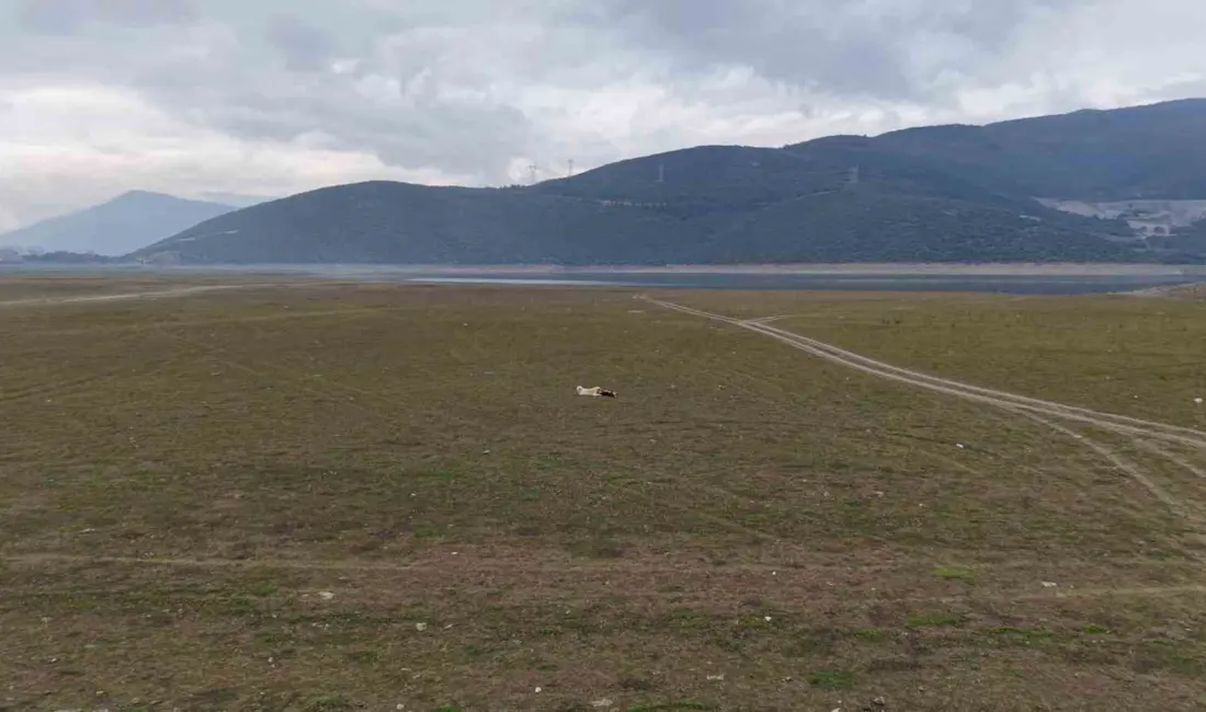 Bursa’nın şeftali, armut, siyah incir ve kiraz gibi önemli tarım ürünlerinin