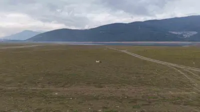 Bursa’nın şeftali, armut, siyah incir ve kiraz gibi önemli tarım ürünlerinin