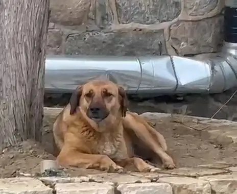 Bursa’nın tarihi Hanlar Bölgesi’nde ezan okunduğu sırada yaşanan bir an,