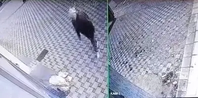 Bursa’da pazar yerinin yakınında bırakılan pazar arabalarını çalan şüpheliler güvenlik