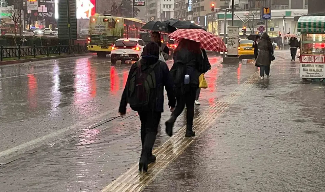 Bursa merkez ile Yenişehir, Karacabey, Mustafakemalpaya gibi tarımın yoğun olduğu