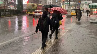 Bursa merkez ile Yenişehir, Karacabey, Mustafakemalpaya gibi tarımın yoğun olduğu