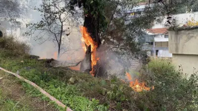 Bursa’nın Mudanya ilçesindeki çamlık alanda çıkan yangın, büyümeden söndürüldü. Yangın,